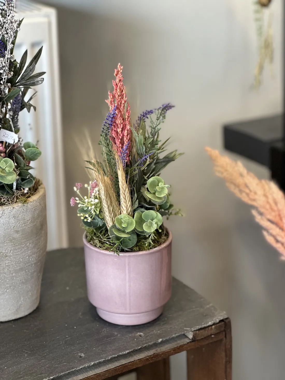 Edle Orchideen und Zimmerpflanzen vom Blumenatelier Moers