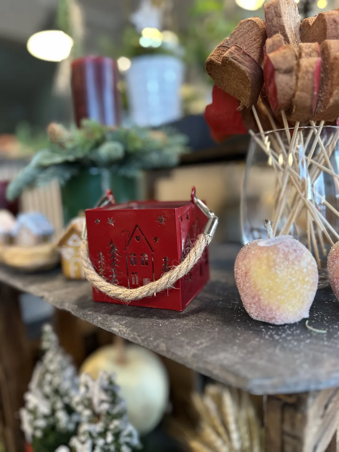 Frostige Mini-Weihnachtsbäumchen im Topf vom Blumenatelier Moers